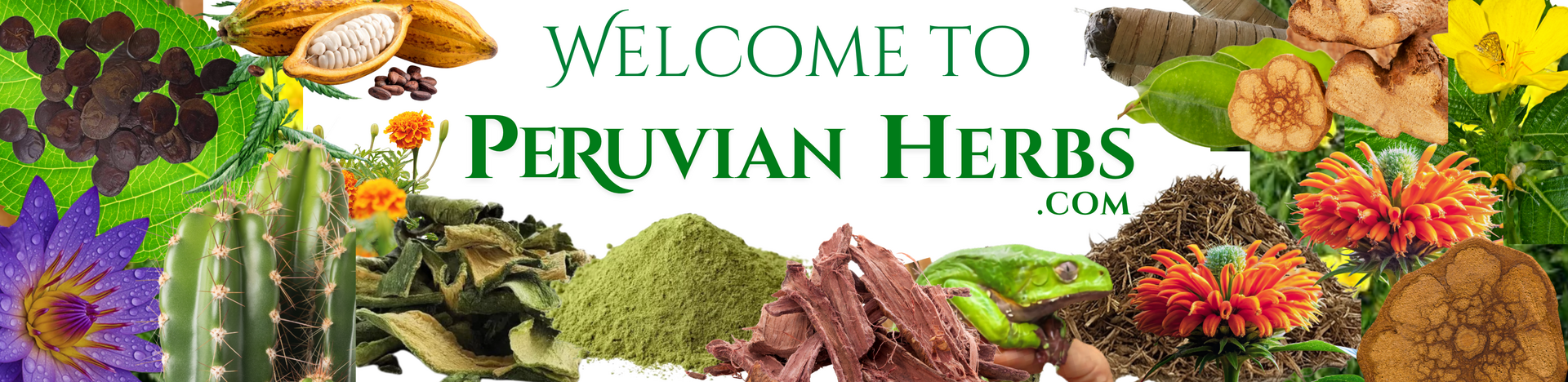 Discover the power of Peruvian and global sacred plants delivered to your door